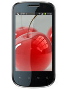 Best available price of Celkon A19 in Belarus
