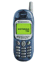 Best available price of Motorola T190 in Belarus