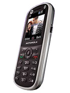 Best available price of Motorola WX288 in Belarus