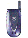 Best available price of Motorola V66i in Belarus