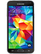 Best available price of Samsung Galaxy S5 Duos in Belarus